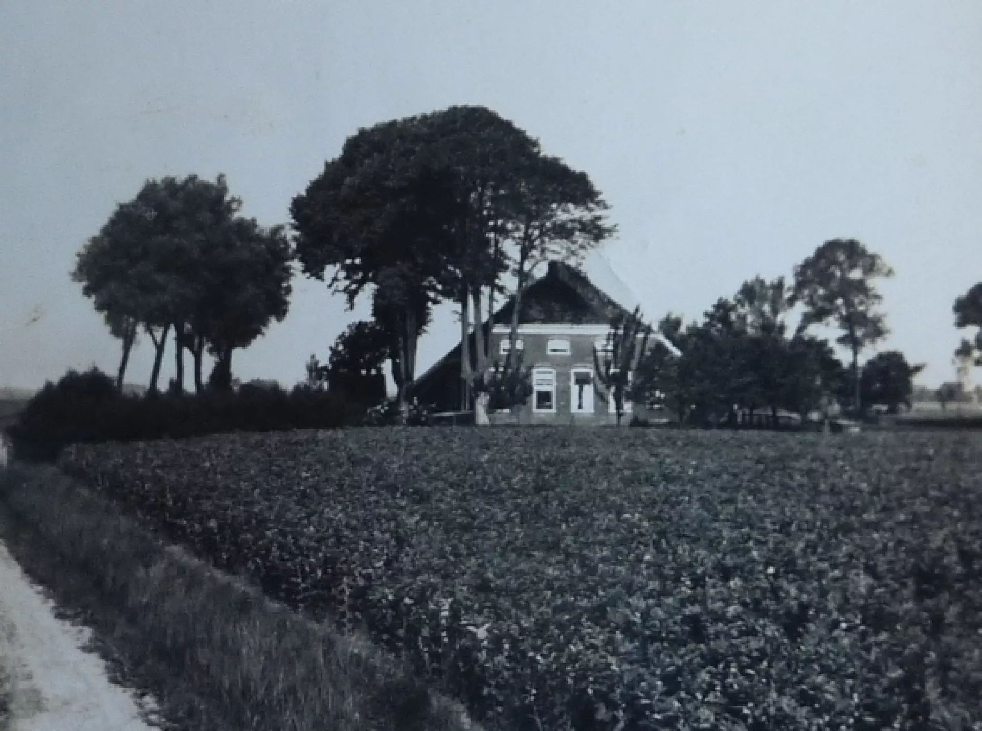 Een boerderij omringd door bomen op een open veld.