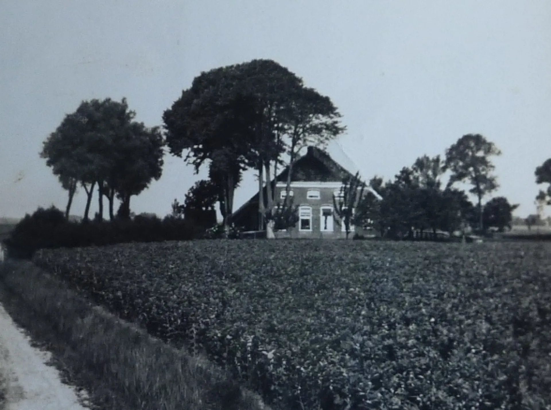 Een boerderij omringd door bomen op een open veld.