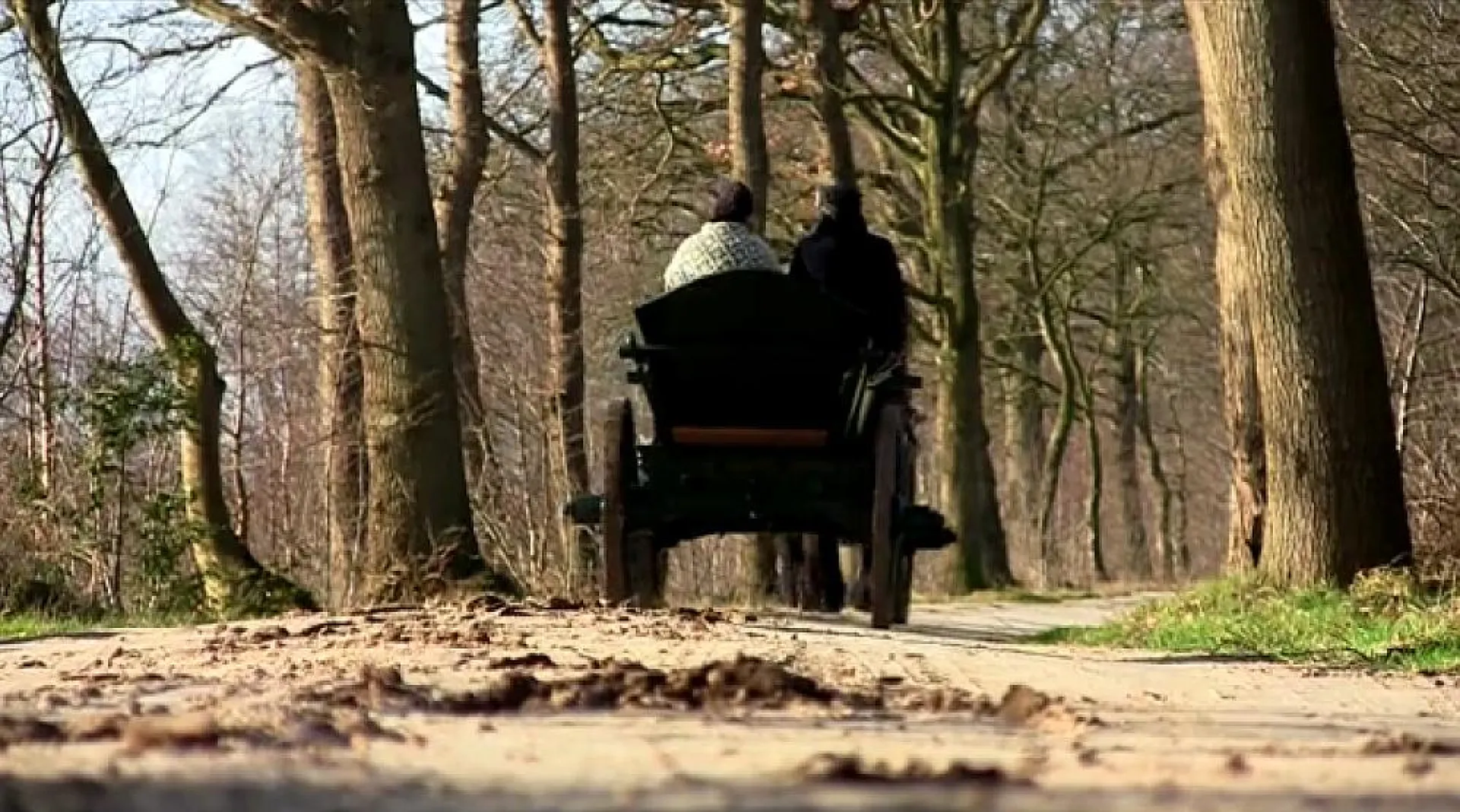 Twee mensen in een rijtuig rijden op de middeleeuwse handelsweg tussen Groningen en Coevorden.