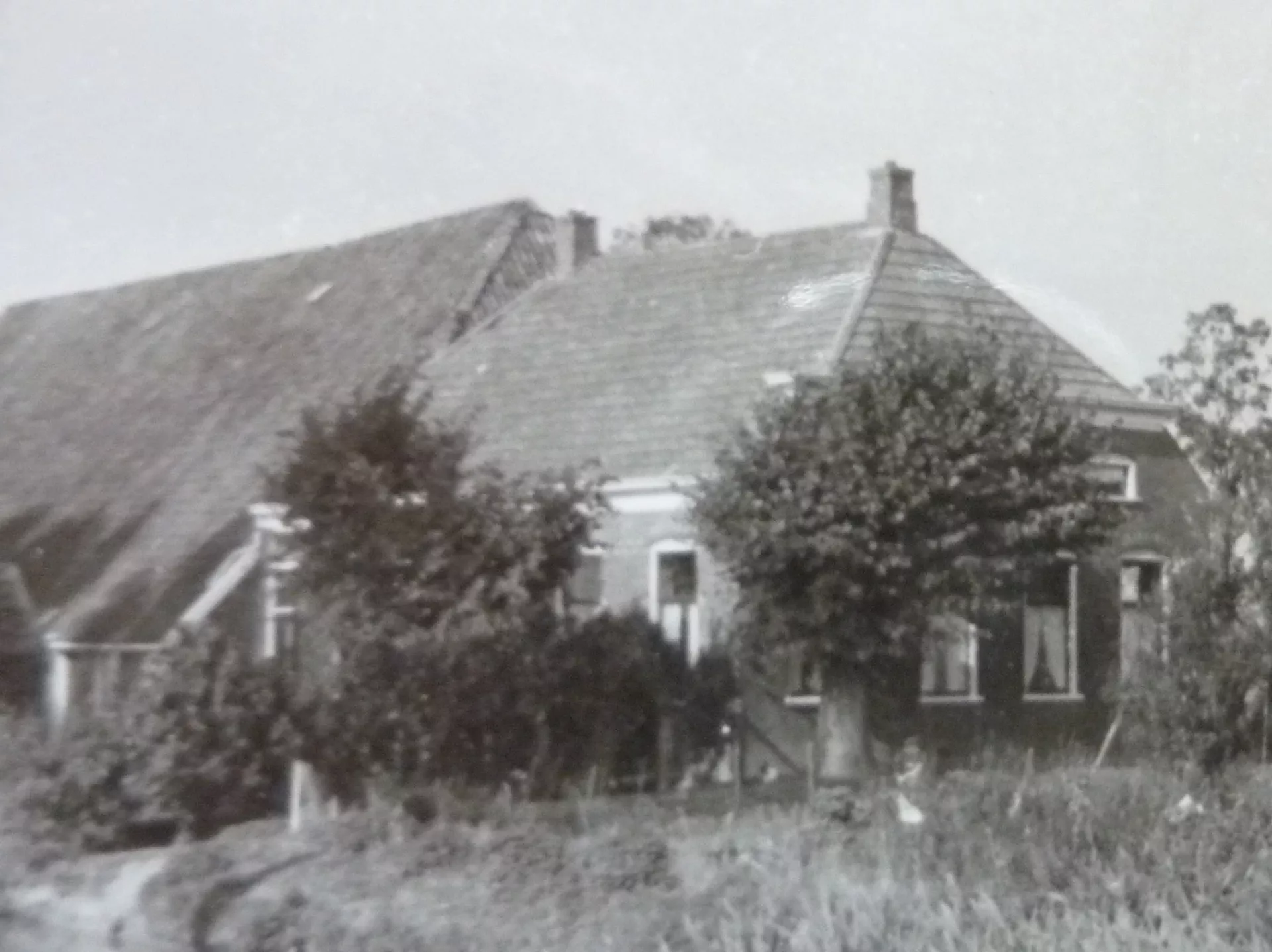 De oude boerderij 'De Pannekoek' met rieten dak en omliggende bomen.