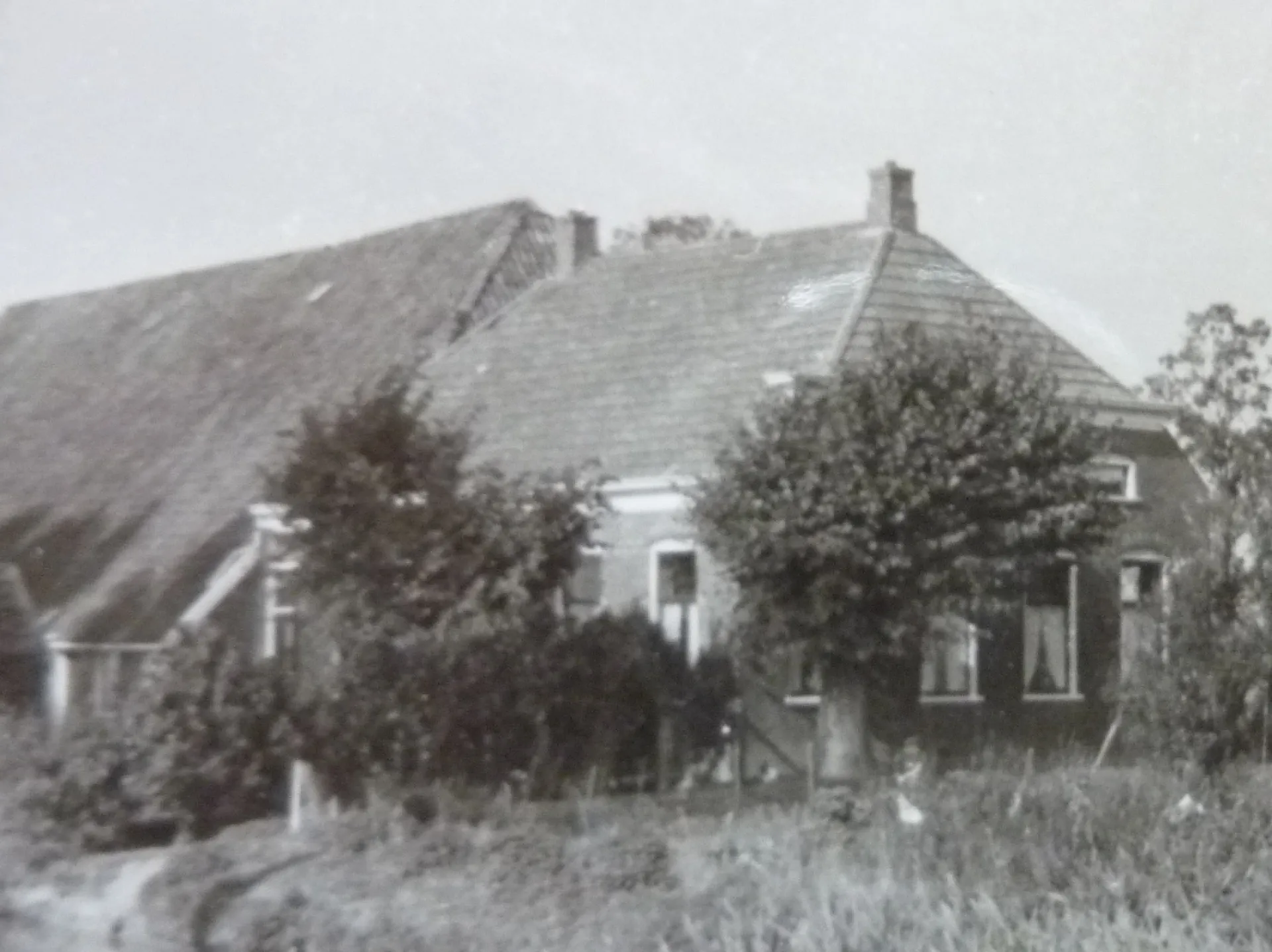 De oude boerderij 'De Pannekoek' met rieten dak en omliggende bomen.