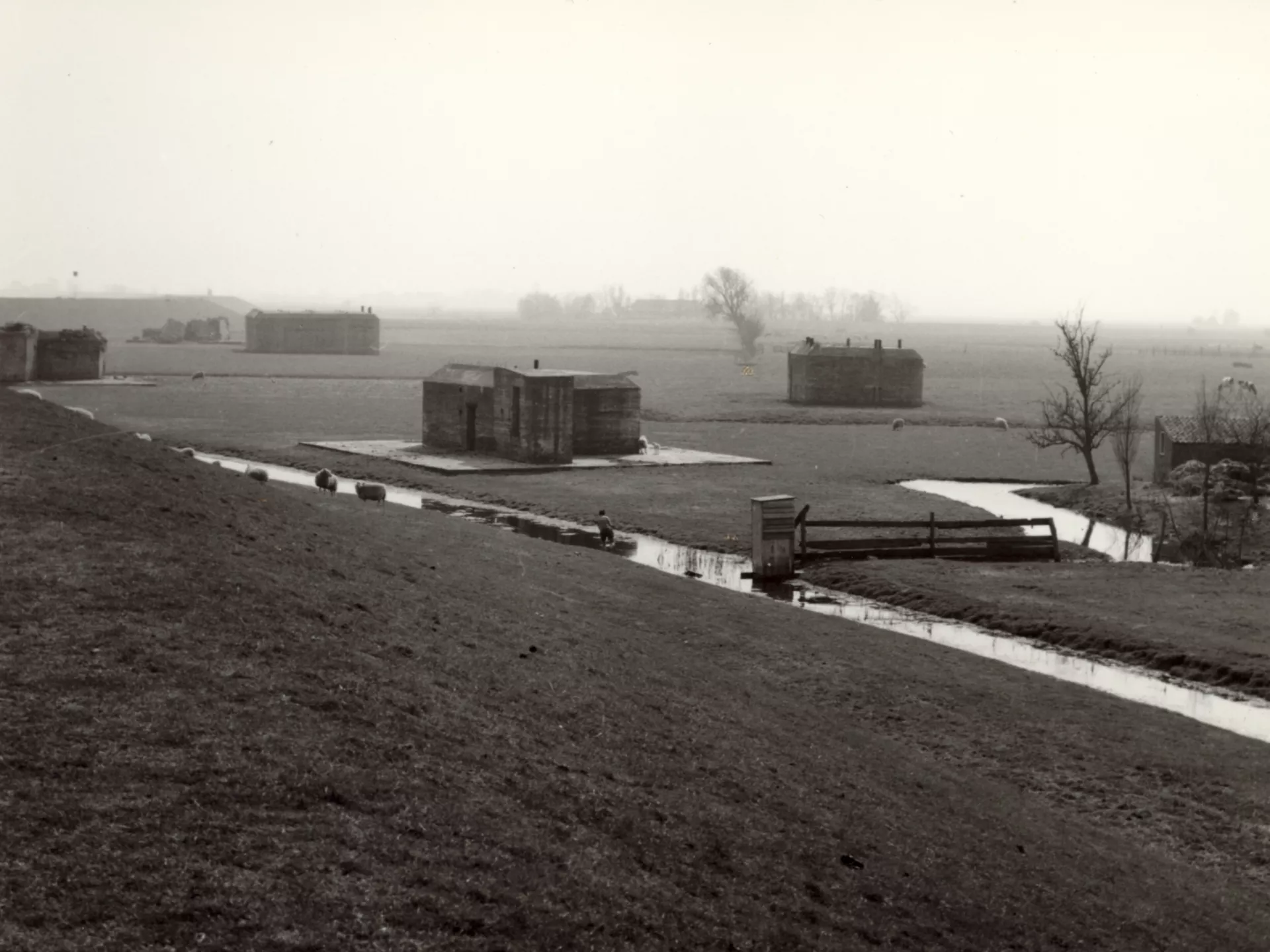 Drie bunkers die onderdeel zijn van een luchtafweerbatterij staan in een mistig weiland tussen sloten en een paar kleine bomen.