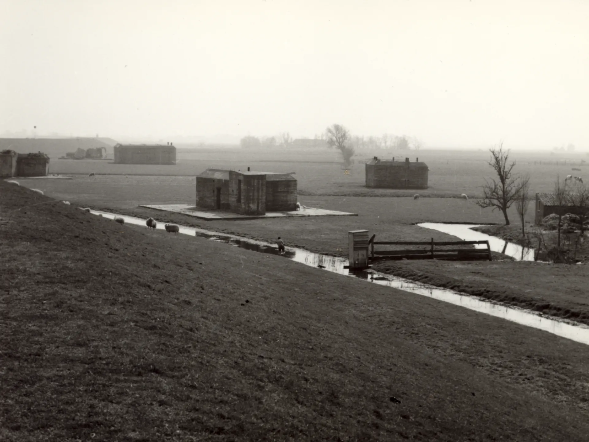 Drie bunkers die onderdeel zijn van een luchtafweerbatterij staan in een mistig weiland tussen sloten en een paar kleine bomen.