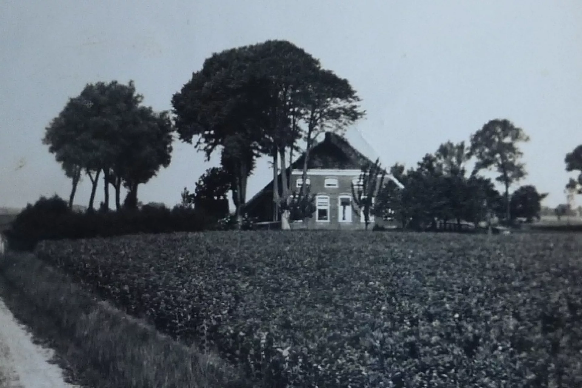 Een boerderij omringd door bomen op een open veld.