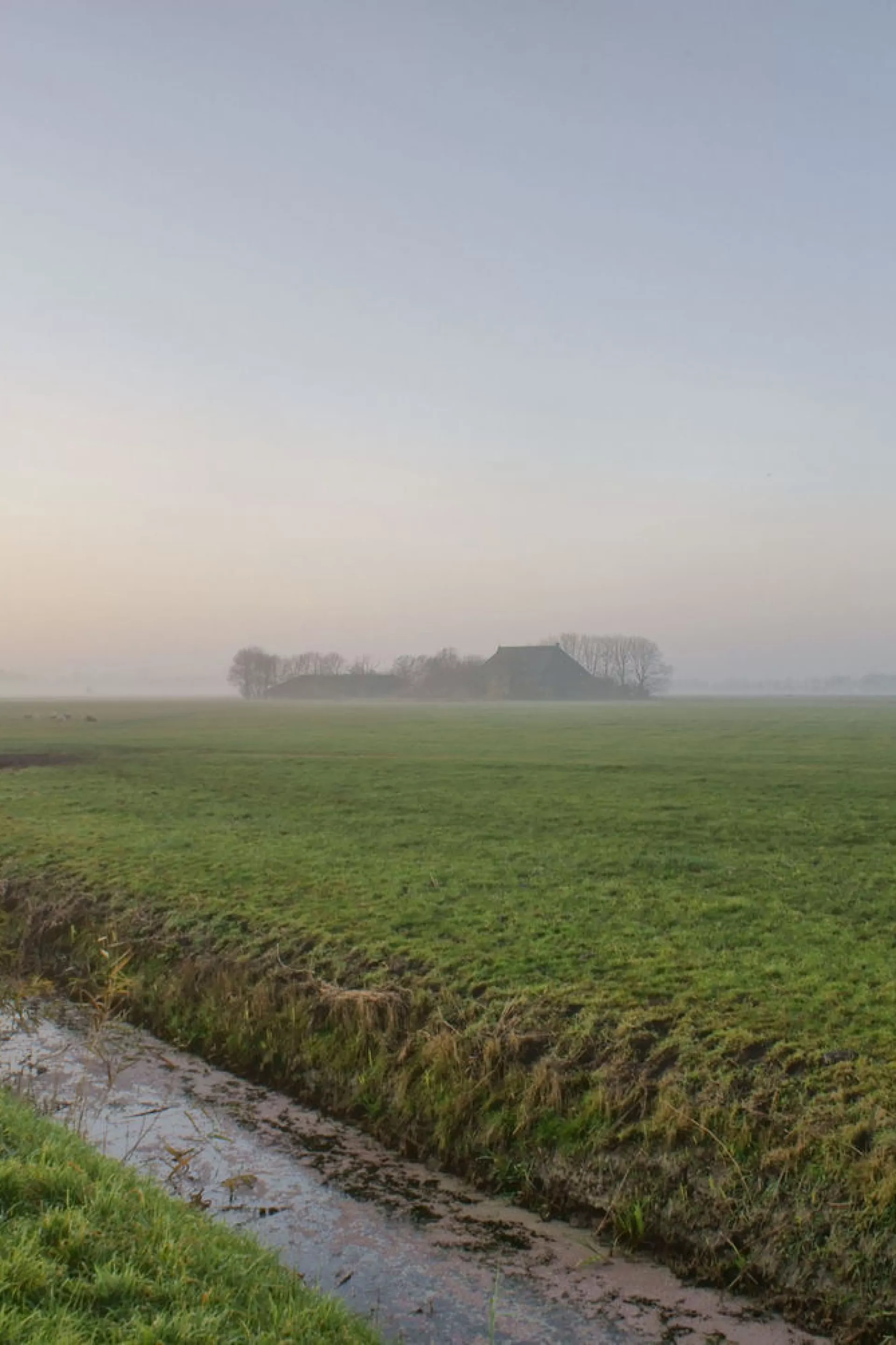 Mistig landschap met uitgestrekte groene velden en een smalle sloot.